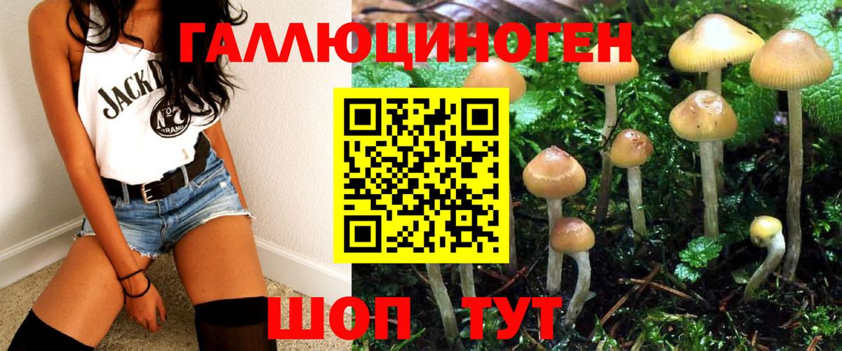 Псилоцибиновые грибы Psilocybe  Вход с VPN  Гулькевичи 